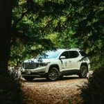 Inicio pexels athena 3002139